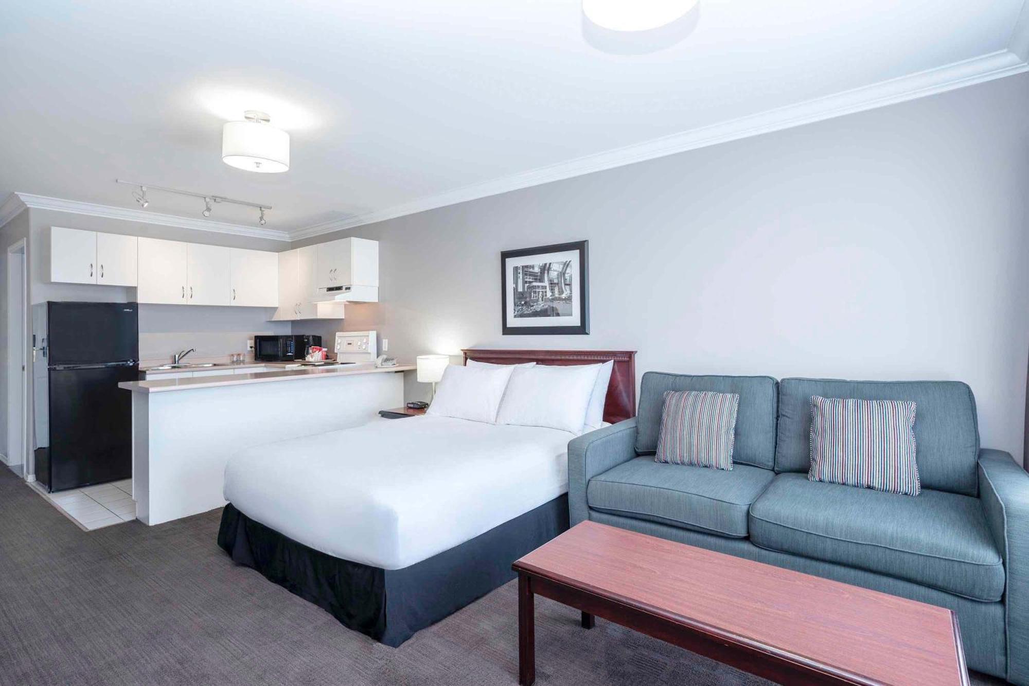 Studio Suite 1 King Bed Kitchen