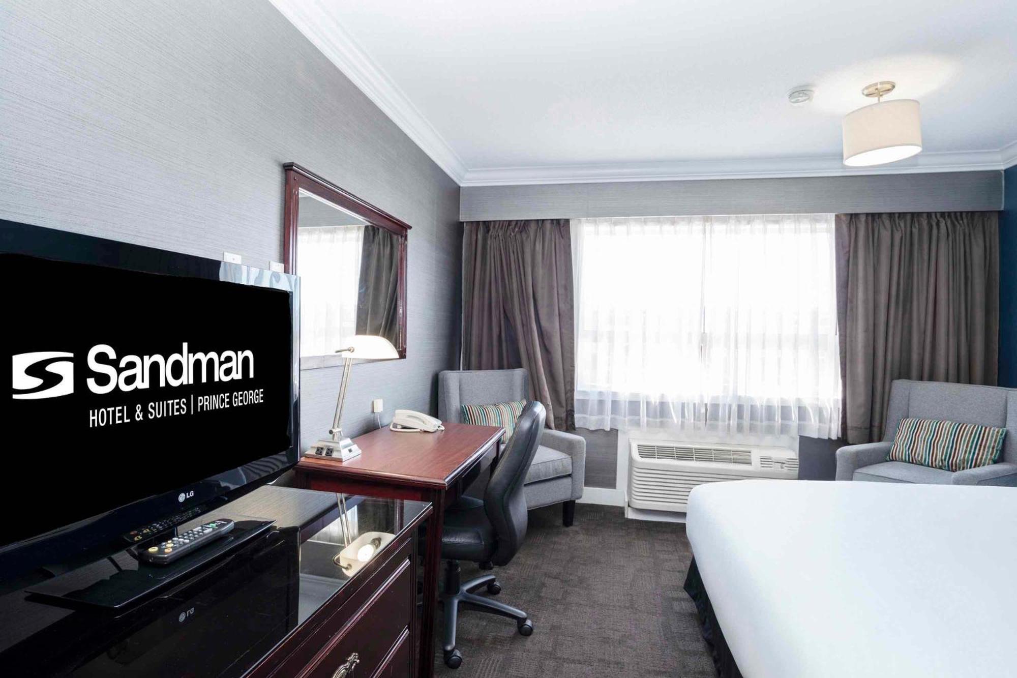 Studio Suite 2 Double Beds Kitchen